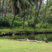 Kauai Coco Palms