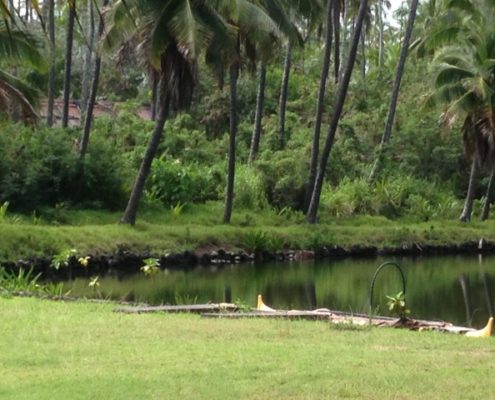 Kauai Coco Palms