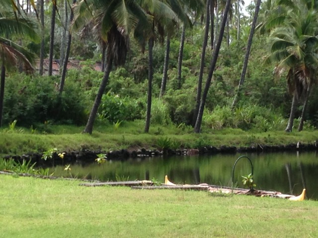 Aloha Oe Coco Palms - mahalomahalo very much | Kauai.com