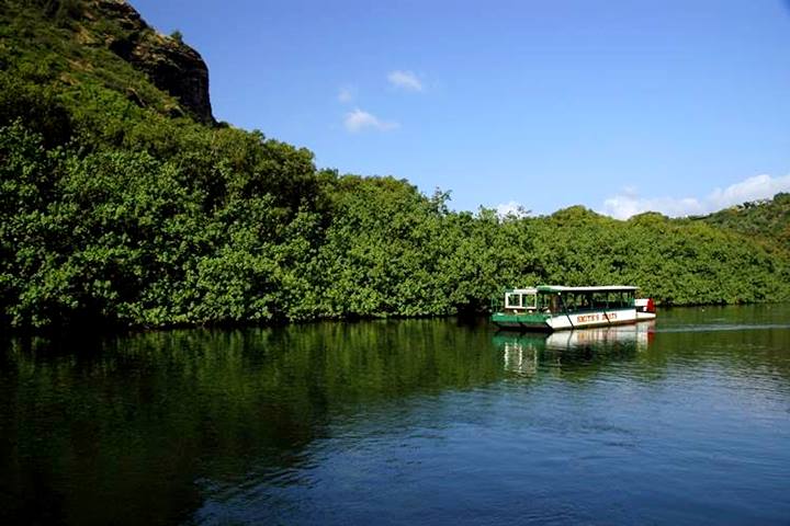Kauai Fern Grotto Tours