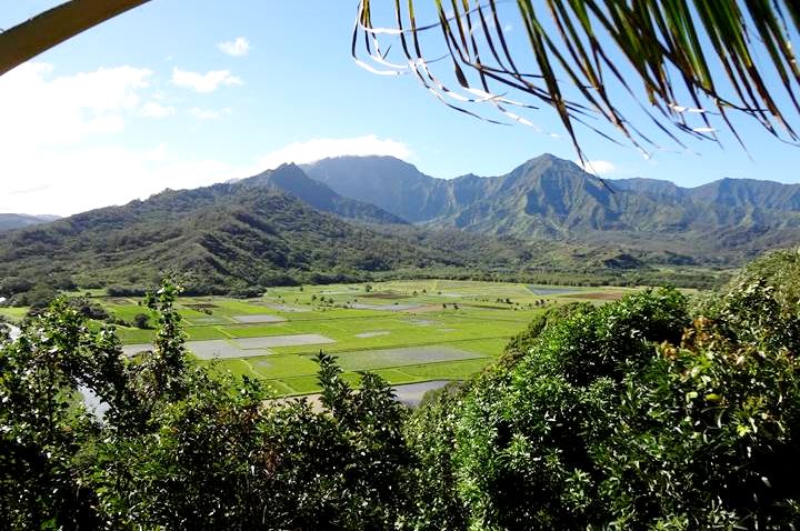 Hanalei Valley Lookout