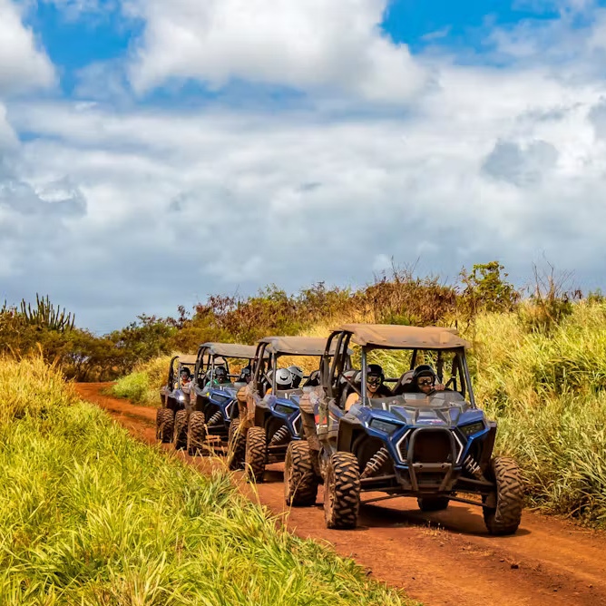 Kauai Backroads Adventure Tour
