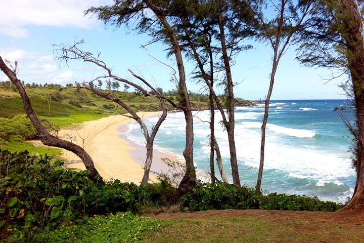 Kauai Bike Path
