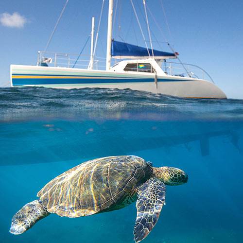 catamaran in kauai