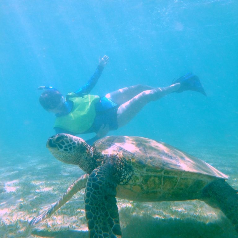 Kauai Snorkeling Tours