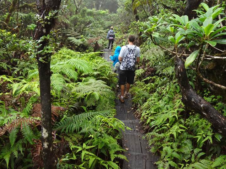 Kauai Hiking Tours