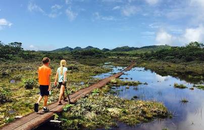 Kauai Hikes and Hiking Guide