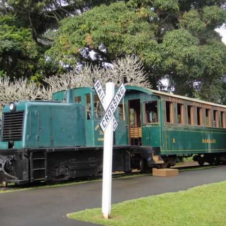 bus tours kauai