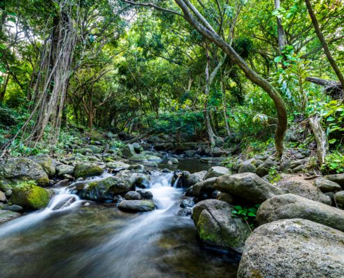 Kauai.com