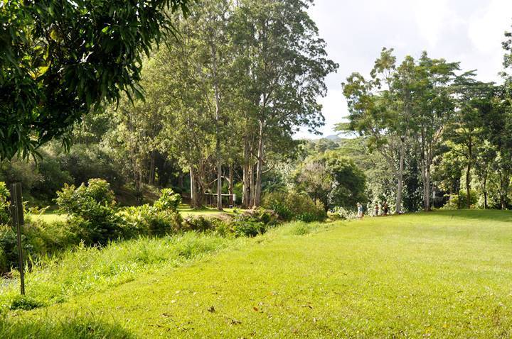 Keahua Kauai Reserve