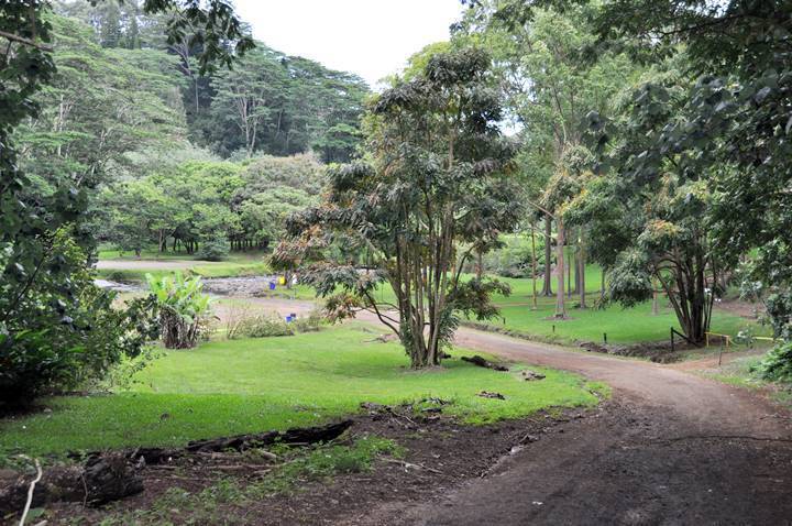 Keahua Kauai Hawaii