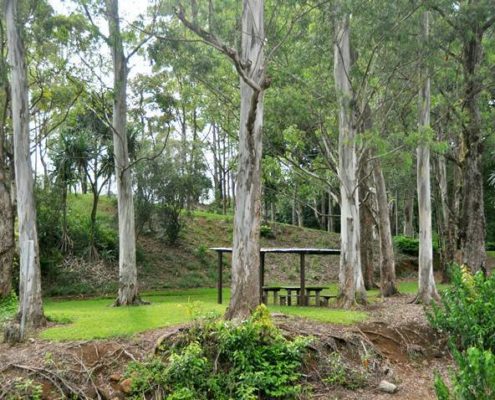 Keahua Picnic Area Kauai