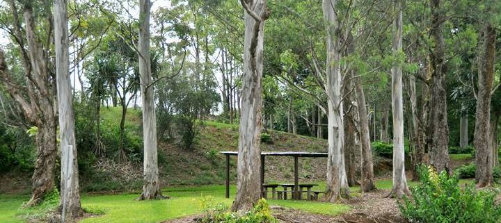 Keahua Picnic Area Kauai