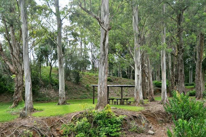 Keahua Picnic Area Kauai