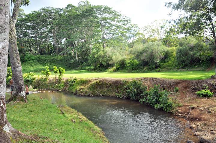 Keahua Forest Reserve