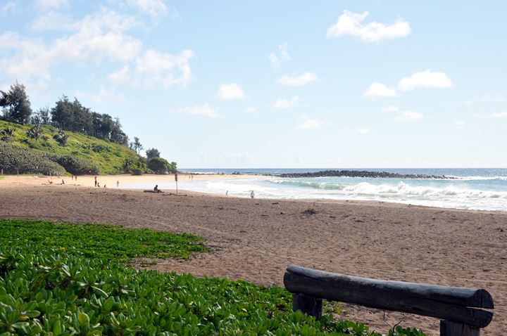 Kealia Beach Kauai Lifegaurded