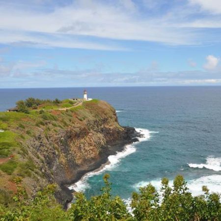 bus tours kauai