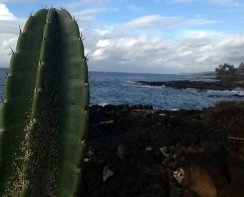 Koloa Landing Poipu Dive Location