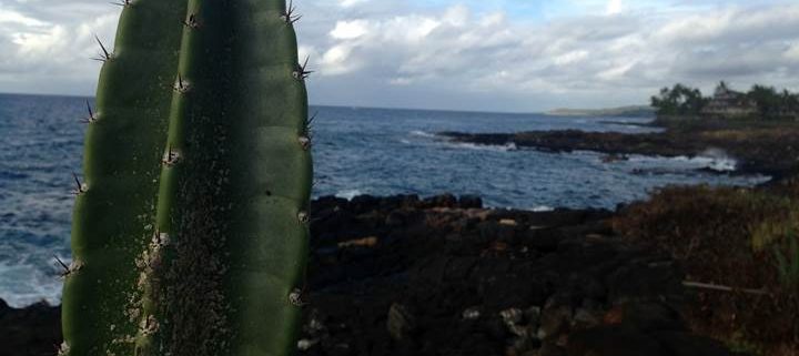 Koloa Landing Poipu Dive Location