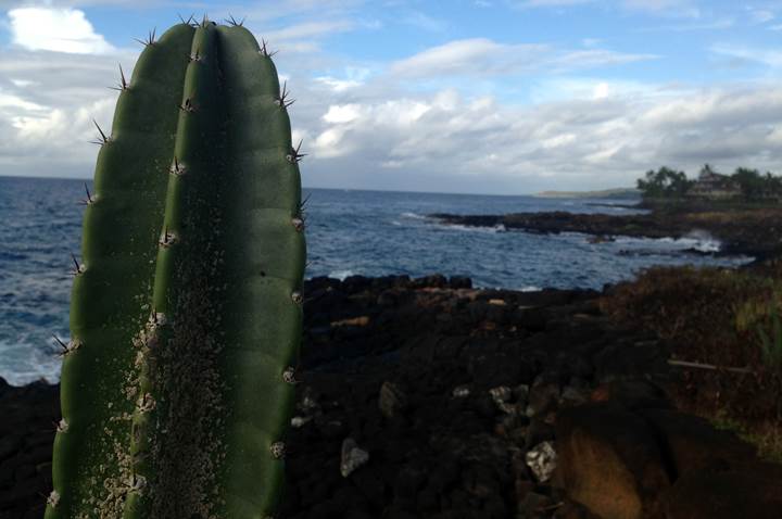 Koloa Landing Poipu Dive Location