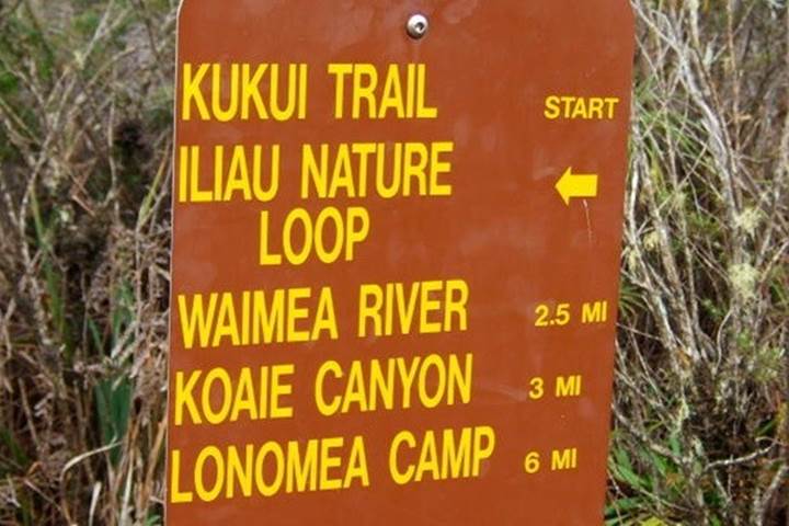 Kukui Trail