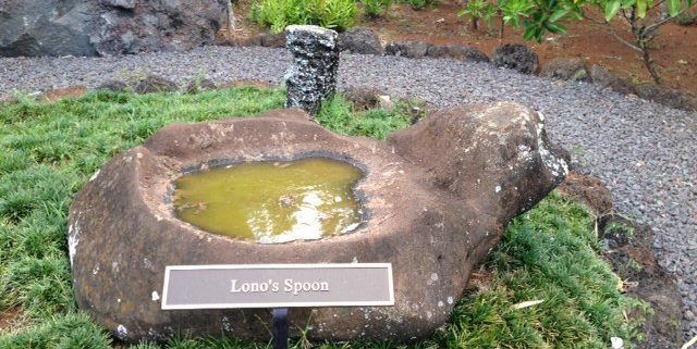 Lonos Spoon