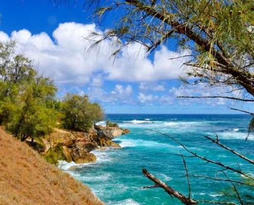 Mahaulepu Beach Kauai Traiil