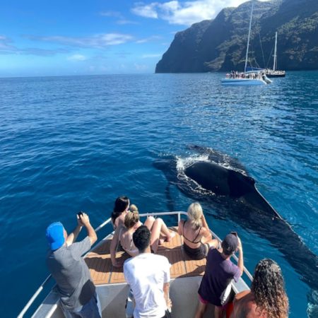 sailboat tour kauai