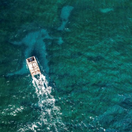 kauai catamaran whale watching