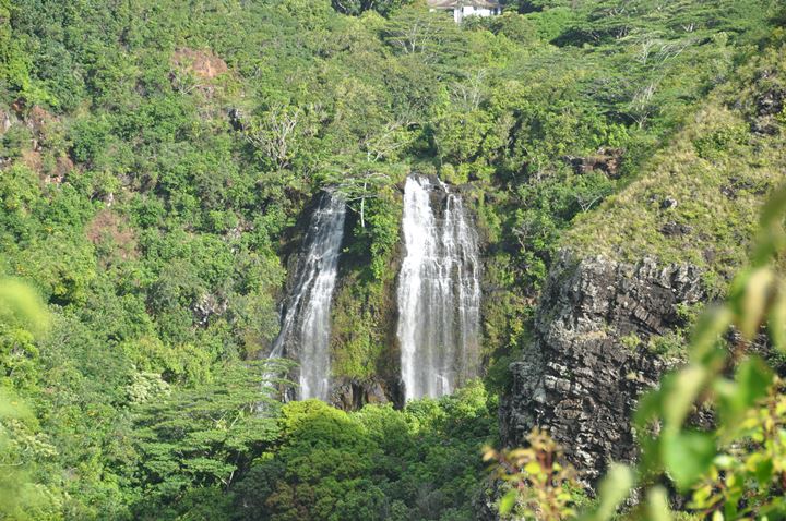 Opeakaa Falls Kauai