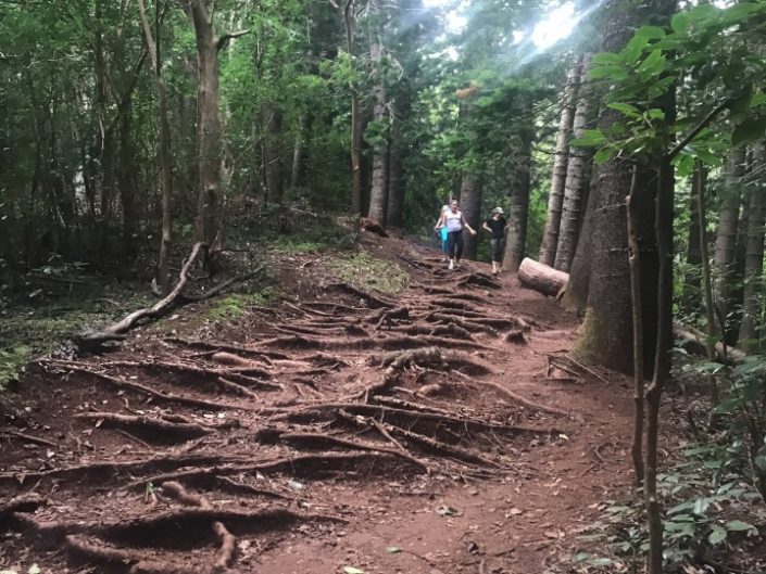 Sleeping Giant Hiking Trail Kuamoo Road Kauai, Hawaii