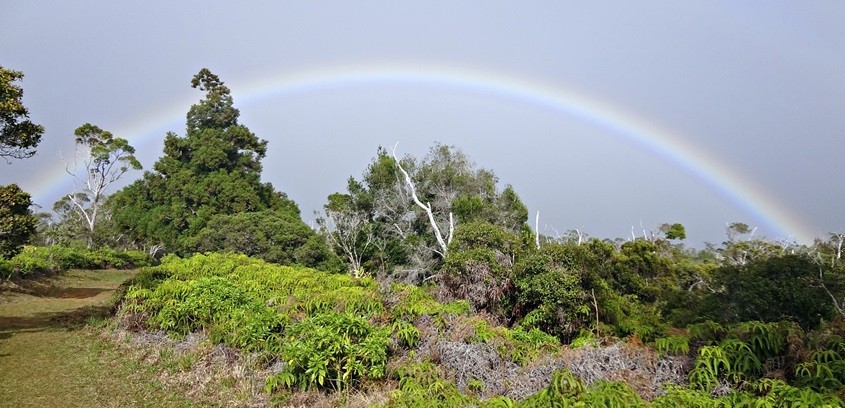 Kauai Rainbow in the fog