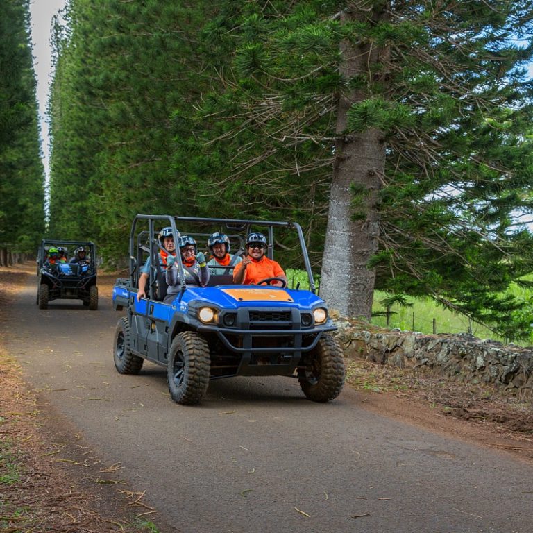 Kauai Ranch and Mountain ATV Tour