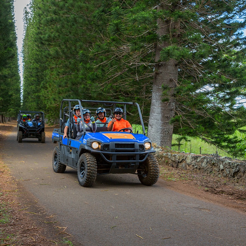 kauai ranch tour