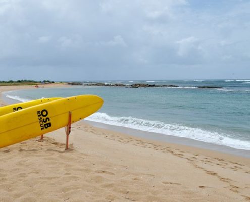 Salt Pond Beach Lifeguard