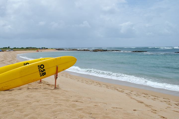 Salt Pond Beach Lifeguard