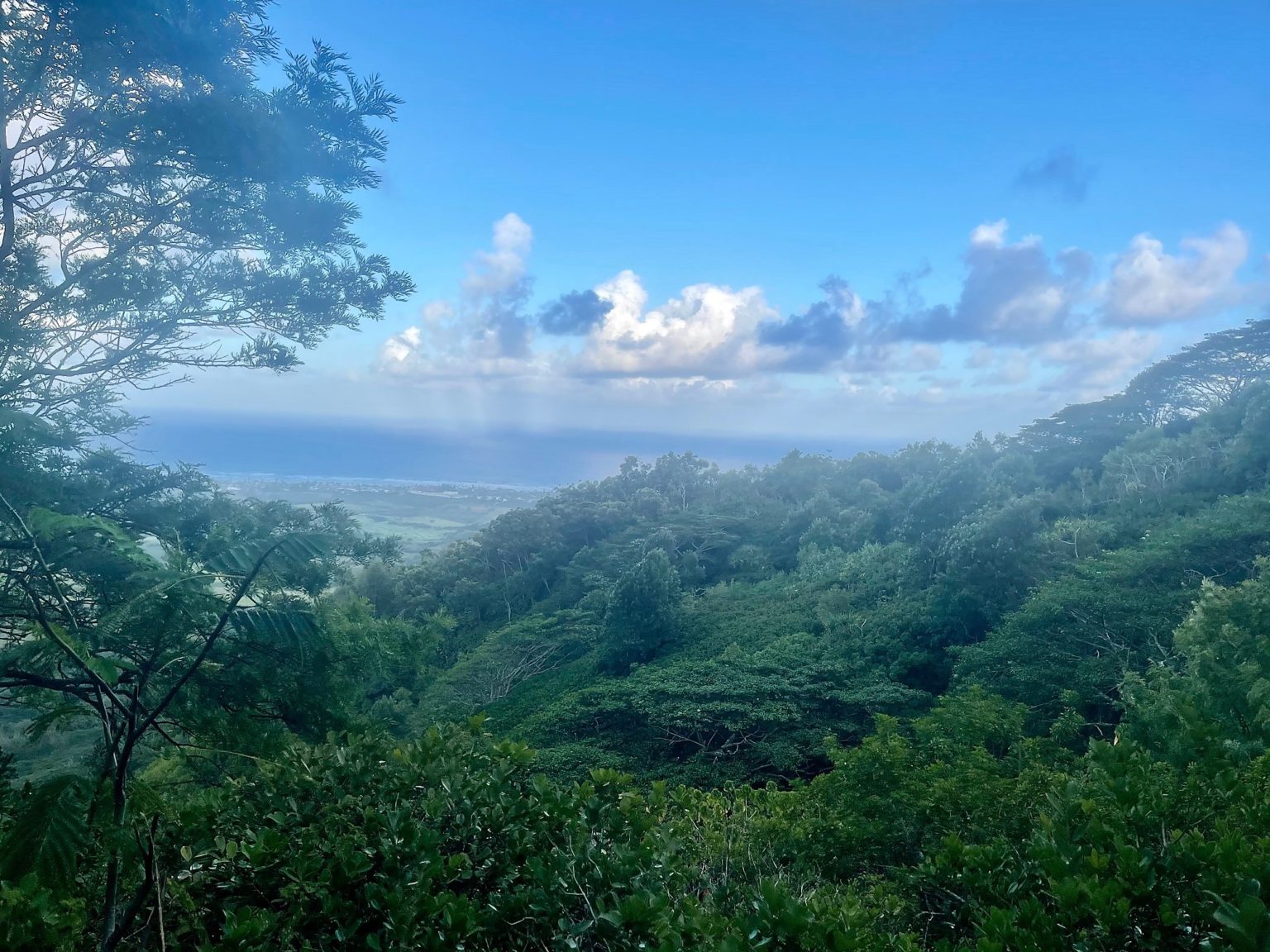 Sleeping Giant Hiking Trail Kuamoo Road Kauai, Hawaii