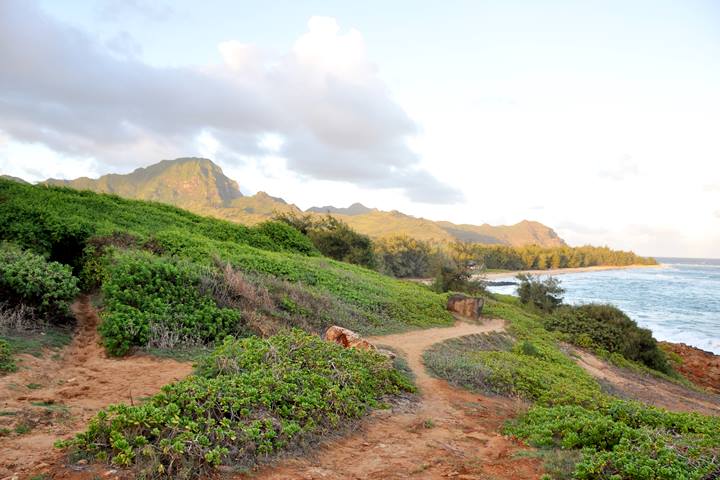 South Shoe Poipu