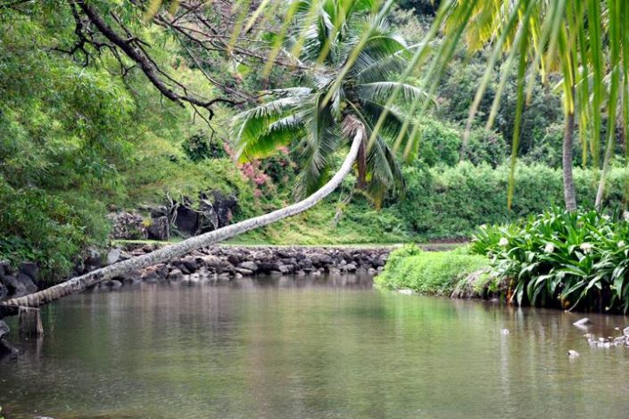 Kauai South Shore | Kauai.com