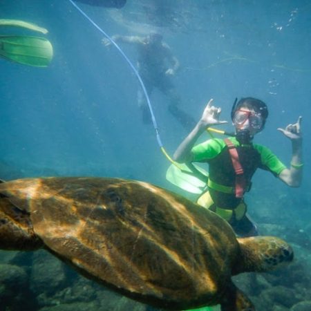 private snorkeling tour kauai