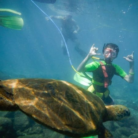 na pali catamaran snorkel tour