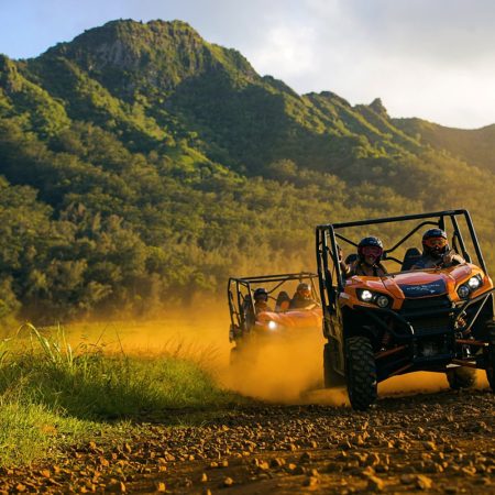 tours of kauai island