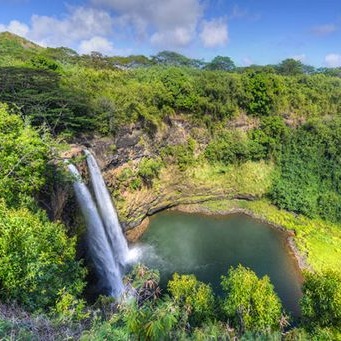 bus tours kauai