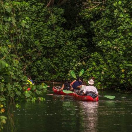 Book Kauai Kayak Tours