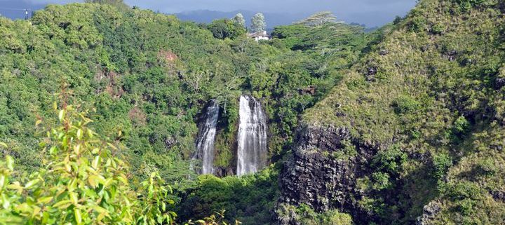 Opeakaa Falls Kauai