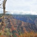 Waimea Canyon Rim