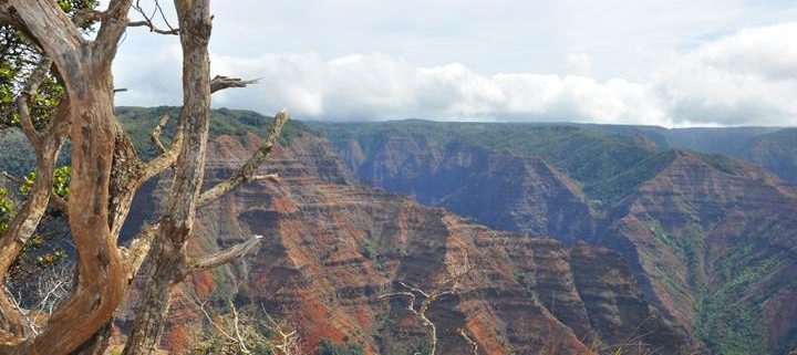 Waimea Canyon Rim