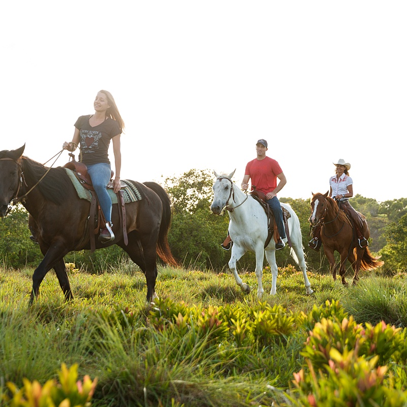Waterfall Picnic Horseback Ride