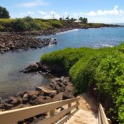 Beach Trail From Whalers Cove